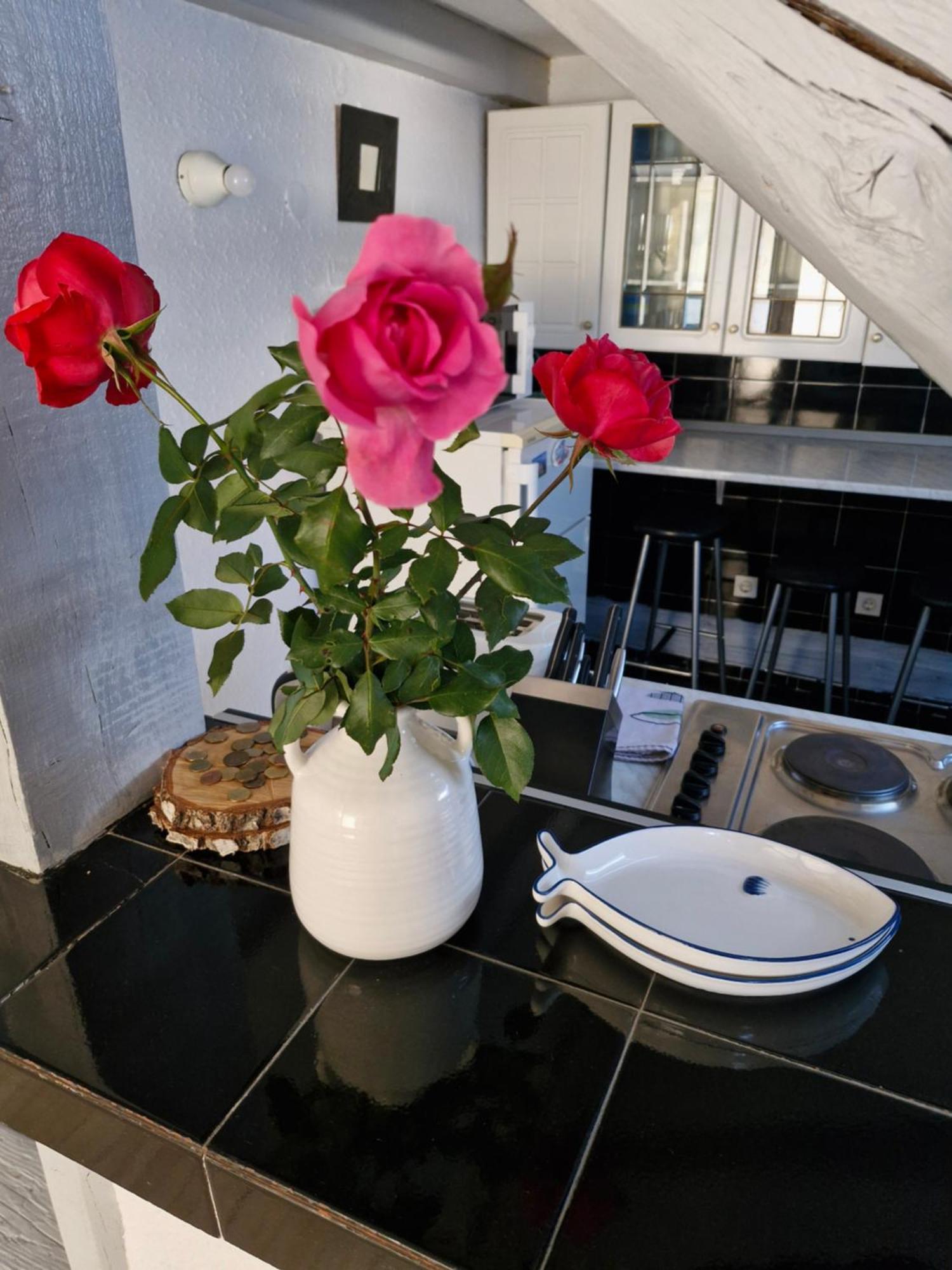 Appartement Deki & Kolet à Belgrade Extérieur photo